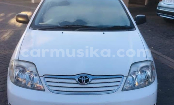 Acheter Occasion Voiture Toyota Corolla Blanc à Beitbridge, Matabeleland South Acheter Occasion Voiture Toyota Corolla Blanc à Beitbridge, Matabeleland South