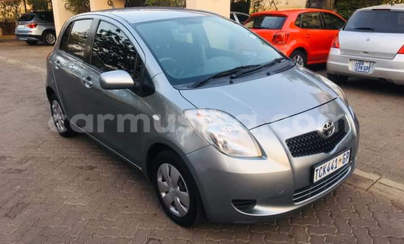 Acheter Occasion Voiture Toyota Yaris Gris à Beitbridge, Matabeleland South