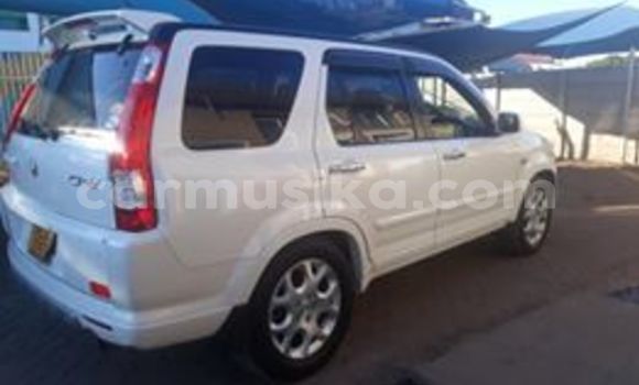 Tenga Tsaru Honda CR–V Chena Mota in Harare in Harare Tenga Tsaru Honda CR–V Chena Mota in Harare in Harare