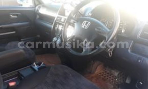 Tenga Tsaru Honda CR–V Chena Mota in Harare in Harare Tenga Tsaru Honda CR–V Chena Mota in Harare in Harare