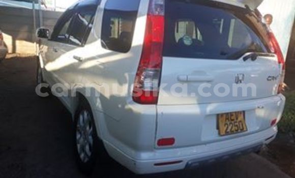Tenga Tsaru Honda CR–V Chena Mota in Harare in Harare Tenga Tsaru Honda CR–V Chena Mota in Harare in Harare