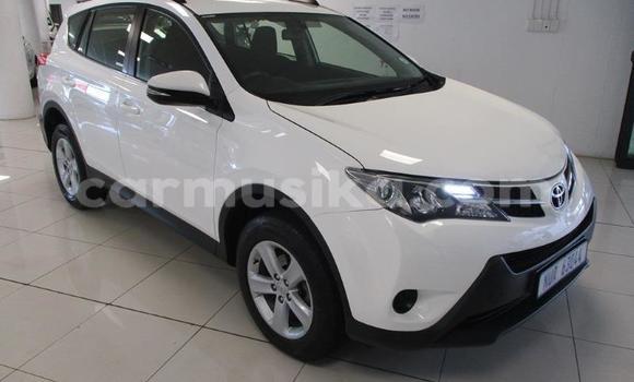 Tenga Tsaru Toyota RAV4 Chena Mota in Beitbridge in Matabeleland South