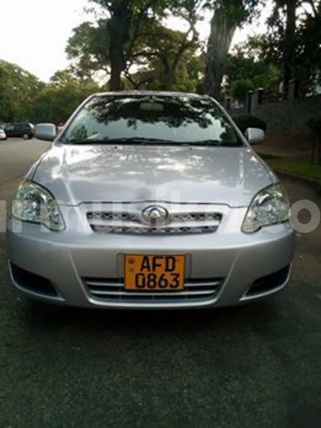 Big with watermark 57674174 2248012415313785 1448638339467968512 n