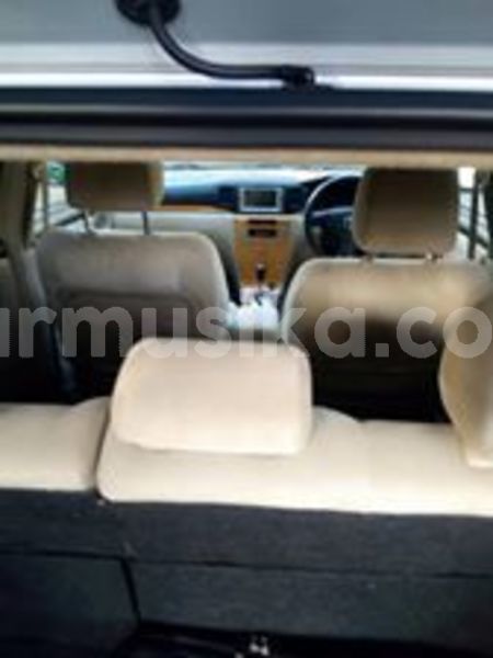 Big with watermark 58374976 2248012508647109 722748558175895552 n