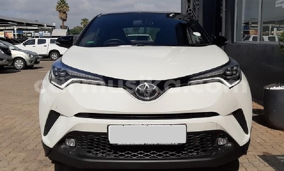 Buy Used Toyota C-HR White Car in Beitbridge in Matabeleland South
