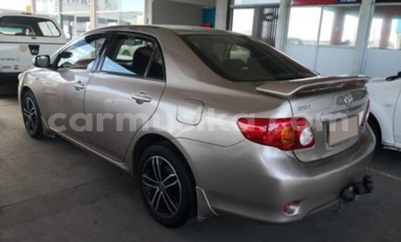 Nunua Ilio tumika Toyota Corolla Beige Gari ndani ya Beitbridge nchini Matabeleland Kusini