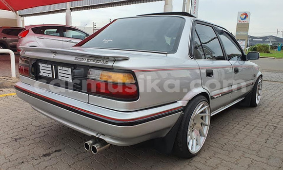 Tenga Tsaru Toyota Corolla Sirivha Mota in Beitbridge in Matabeleland South Tenga Tsaru Toyota Corolla Sirivha Mota in Beitbridge in Matabeleland South