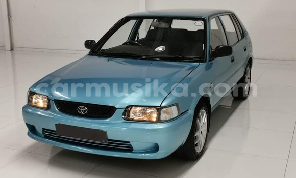 Tenga Tsaru Toyota Tacoma Bhuruu Mota in Beitbridge in Matabeleland South Tenga Tsaru Toyota Tacoma Bhuruu Mota in Beitbridge in Matabeleland South