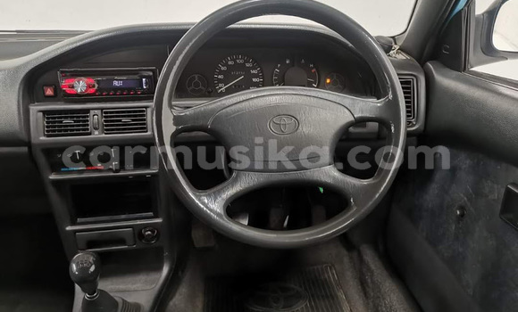 Tenga Tsaru Toyota Tacoma Bhuruu Mota in Beitbridge in Matabeleland South Tenga Tsaru Toyota Tacoma Bhuruu Mota in Beitbridge in Matabeleland South