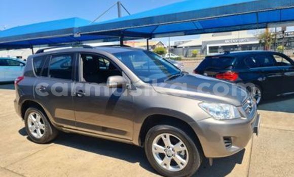 Buy Used Toyota RAV4 Silver Car in Beitbridge in Matabeleland South Buy Used Toyota RAV4 Silver Car in Beitbridge in Matabeleland South