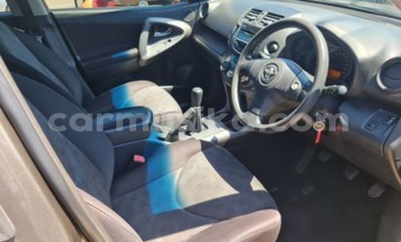 Buy Used Toyota RAV4 Silver Car in Beitbridge in Matabeleland South Buy Used Toyota RAV4 Silver Car in Beitbridge in Matabeleland South