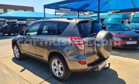 Buy Used Toyota RAV4 Silver Car in Beitbridge in Matabeleland South Buy Used Toyota RAV4 Silver Car in Beitbridge in Matabeleland South
