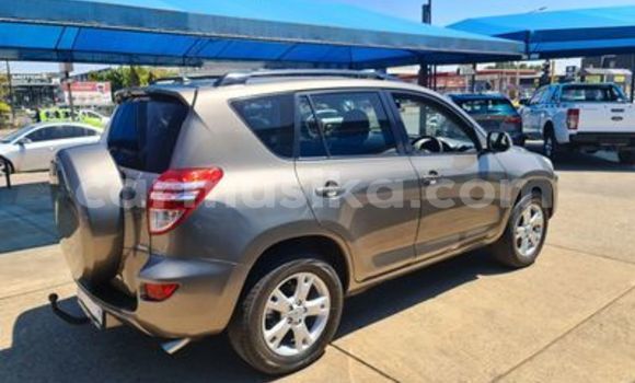 Buy Used Toyota RAV4 Silver Car in Beitbridge in Matabeleland South Buy Used Toyota RAV4 Silver Car in Beitbridge in Matabeleland South