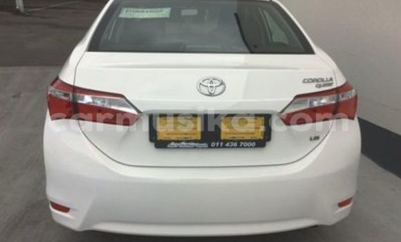 Buy Used Toyota Corolla White Car in Beitbridge in Matabeleland South