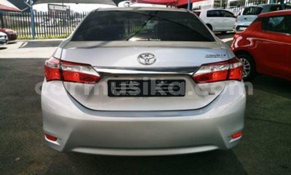 Tenga Tsaru Toyota Corolla Sirivha Mota in Beitbridge in Matabeleland South Tenga Tsaru Toyota Corolla Sirivha Mota in Beitbridge in Matabeleland South
