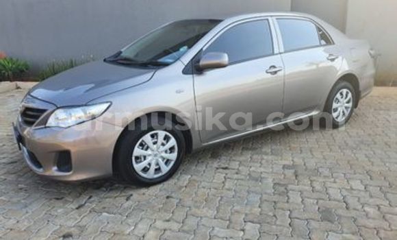 Buy Used Toyota Corolla Silver Car in Beitbridge in Matabeleland South Buy Used Toyota Corolla Silver Car in Beitbridge in Matabeleland South