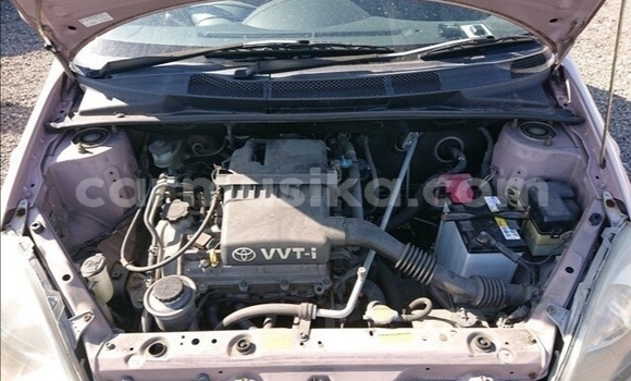 Tenga Tsaru Toyota Vitz Zvimwe Mota in Beitbridge in Matabeleland South Tenga Tsaru Toyota Vitz Zvimwe Mota in Beitbridge in Matabeleland South