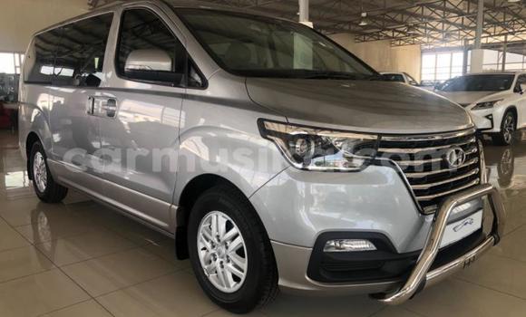 Buy Used Hyundai H200 Silver Car in Beitbridge in Matabeleland South