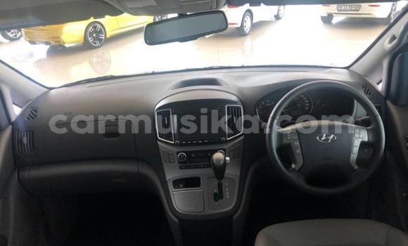 Tenga Tsaru Hyundai H200 Sirivha Mota in Beitbridge in Matabeleland South Tenga Tsaru Hyundai H200 Sirivha Mota in Beitbridge in Matabeleland South