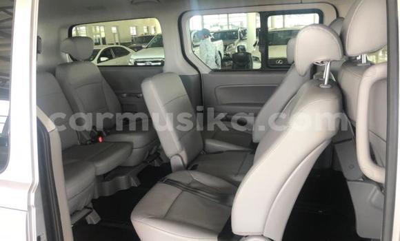 Tenga Tsaru Hyundai H200 Sirivha Mota in Beitbridge in Matabeleland South Tenga Tsaru Hyundai H200 Sirivha Mota in Beitbridge in Matabeleland South