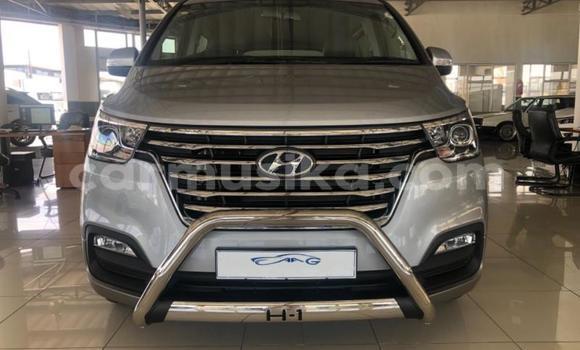 Tenga Tsaru Hyundai H200 Sirivha Mota in Beitbridge in Matabeleland South Tenga Tsaru Hyundai H200 Sirivha Mota in Beitbridge in Matabeleland South