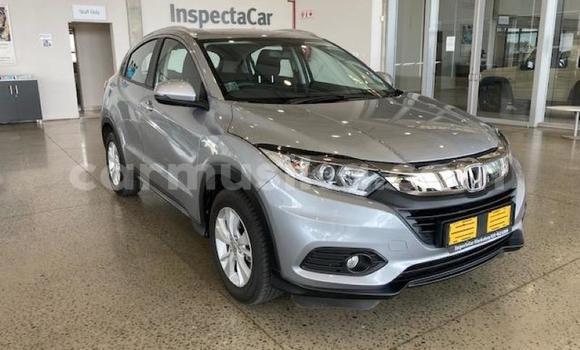 Tenga Tsaru Honda CR–V Nhema Mota in Alexandra Park in Harare Tenga Tsaru Honda CR–V Nhema Mota in Alexandra Park in Harare