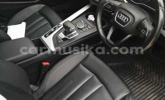 Tenga Tsaru Audi A4 Nhema Mota in Beitbridge in Matabeleland South Tenga Tsaru Audi A4 Nhema Mota in Beitbridge in Matabeleland South