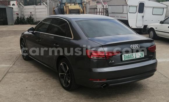 Tenga Tsaru Audi A4 Nhema Mota in Beitbridge in Matabeleland South Tenga Tsaru Audi A4 Nhema Mota in Beitbridge in Matabeleland South