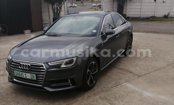 Tenga Tsaru Audi A4 Nhema Mota in Beitbridge in Matabeleland South Tenga Tsaru Audi A4 Nhema Mota in Beitbridge in Matabeleland South