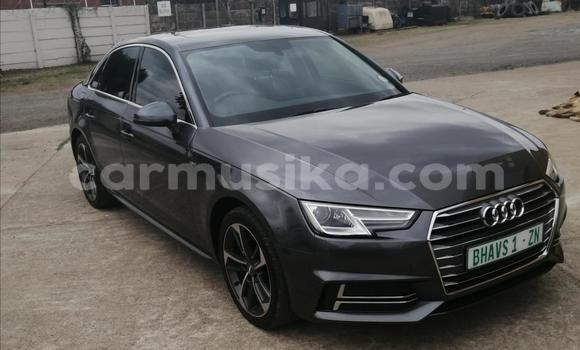 Tenga Tsaru Audi A4 Nhema Mota in Beitbridge in Matabeleland South Tenga Tsaru Audi A4 Nhema Mota in Beitbridge in Matabeleland South