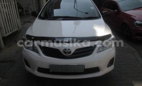 Tenga Tsaru Toyota Corolla Chena Mota in Beitbridge in Matabeleland South Tenga Tsaru Toyota Corolla Chena Mota in Beitbridge in Matabeleland South