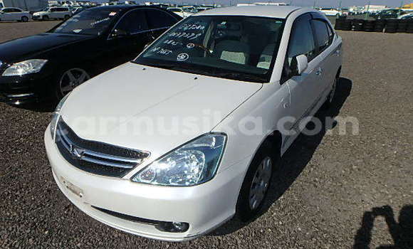 Acheter Occasion Voiture Toyota Allion Blanc à Beitbridge, Matabeleland South Acheter Occasion Voiture Toyota Allion Blanc à Beitbridge, Matabeleland South