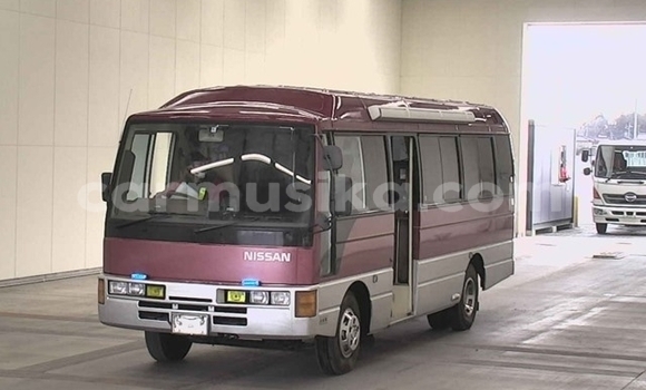 Acheter Occasion Voiture Nissan Caravan Autre à Beitbridge, Matabeleland South