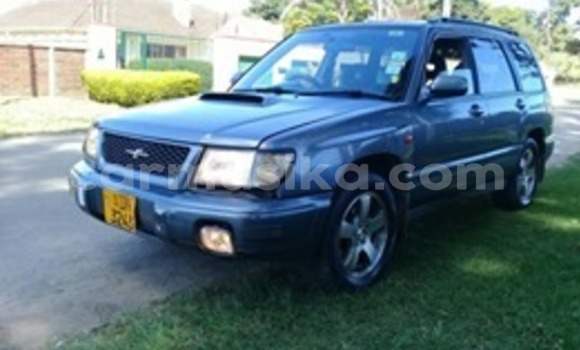 Acheter Occasion Voiture Subaru Forester Autre à Harare, Harare Acheter Occasion Voiture Subaru Forester Autre à Harare, Harare