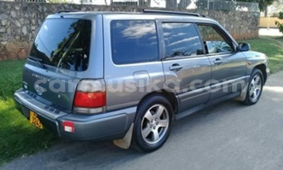 Acheter Occasion Voiture Subaru Forester Autre à Harare, Harare Acheter Occasion Voiture Subaru Forester Autre à Harare, Harare
