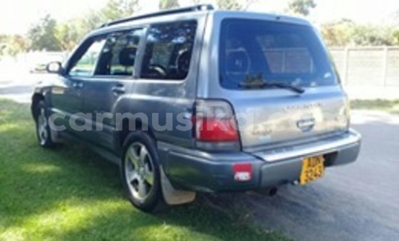Acheter Occasion Voiture Subaru Forester Autre à Harare, Harare Acheter Occasion Voiture Subaru Forester Autre à Harare, Harare