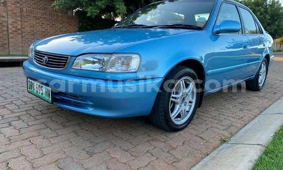 Buy Used Toyota Corolla Blue Car in Beitbridge in Matabeleland South