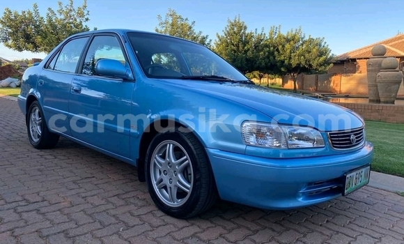 Tenga Tsaru Toyota Corolla Bhuruu Mota in Beitbridge in Matabeleland South Tenga Tsaru Toyota Corolla Bhuruu Mota in Beitbridge in Matabeleland South