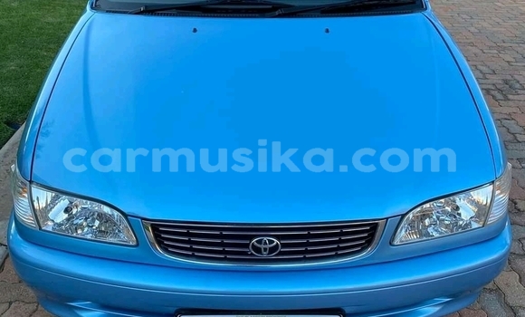 Tenga Tsaru Toyota Corolla Bhuruu Mota in Beitbridge in Matabeleland South Tenga Tsaru Toyota Corolla Bhuruu Mota in Beitbridge in Matabeleland South