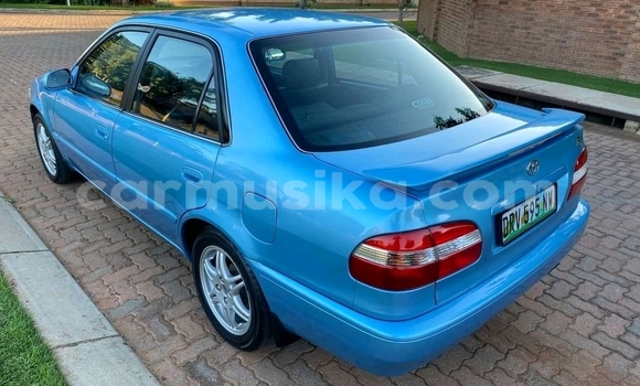 Tenga Tsaru Toyota Corolla Bhuruu Mota in Beitbridge in Matabeleland South Tenga Tsaru Toyota Corolla Bhuruu Mota in Beitbridge in Matabeleland South