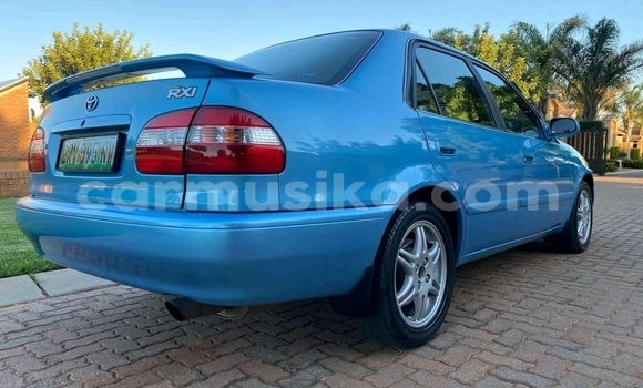 Tenga Tsaru Toyota Corolla Bhuruu Mota in Beitbridge in Matabeleland South Tenga Tsaru Toyota Corolla Bhuruu Mota in Beitbridge in Matabeleland South