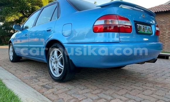 Tenga Tsaru Toyota Corolla Bhuruu Mota in Beitbridge in Matabeleland South Tenga Tsaru Toyota Corolla Bhuruu Mota in Beitbridge in Matabeleland South