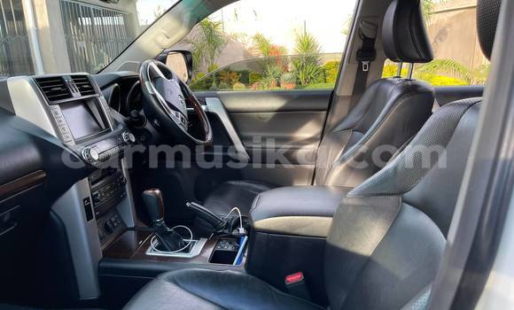 Tenga Tsaru Toyota Land Cruiser Prado Chena Mota in Harare in Harare Tenga Tsaru Toyota Land Cruiser Prado Chena Mota in Harare in Harare