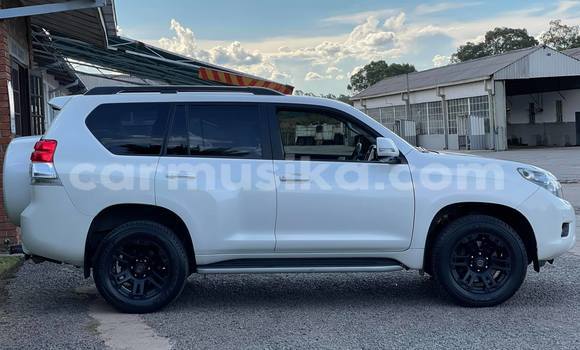 Tenga Tsaru Toyota Land Cruiser Prado Chena Mota in Harare in Harare Tenga Tsaru Toyota Land Cruiser Prado Chena Mota in Harare in Harare
