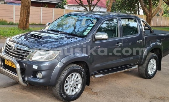 Tenga Tsaru Toyota Hilux Bhuruu Mota in Harare in Harare Tenga Tsaru Toyota Hilux Bhuruu Mota in Harare in Harare