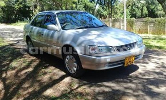 Acheter Occasion Voiture Toyota Corolla Gris à Harare, Harare Acheter Occasion Voiture Toyota Corolla Gris à Harare, Harare