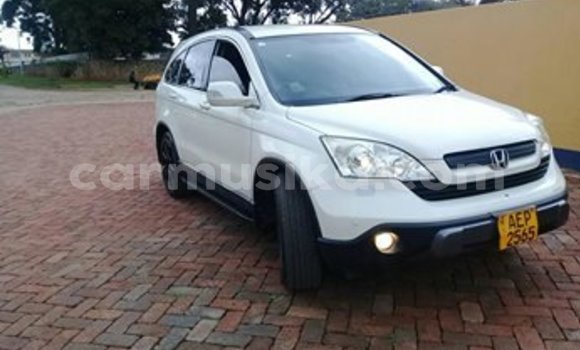 Acheter Occasion Voiture Honda CR–V Blanc à Harare, Harare Acheter Occasion Voiture Honda CR–V Blanc à Harare, Harare