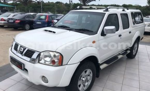 Tenga Tsaru Nissan Hardbody Chena Mota in Beitbridge in Matabeleland South