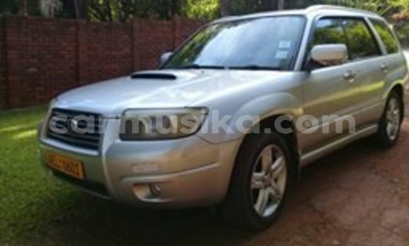 Acheter Occasion Voiture Subaru Forester Gris à Harare, Harare Acheter Occasion Voiture Subaru Forester Gris à Harare, Harare