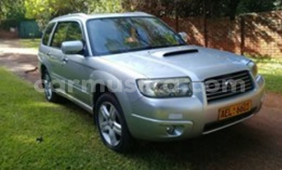 Acheter Occasion Voiture Subaru Forester Gris à Harare, Harare Acheter Occasion Voiture Subaru Forester Gris à Harare, Harare